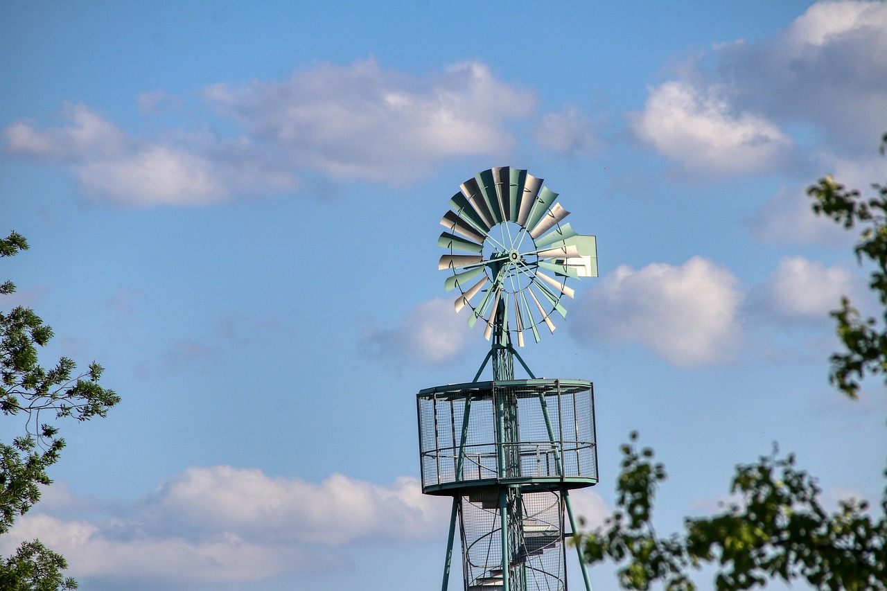 d&eacute;couvrez les enjeux et solutions de la transition &eacute;cologique pour un avenir durable et respectueux de l'environnement.