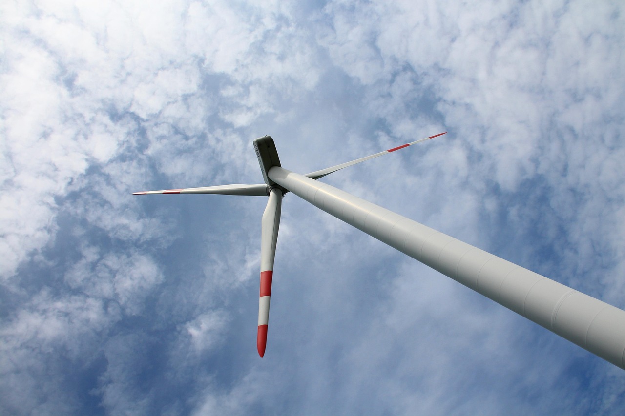 d&eacute;couvrez les enjeux et solutions de la transition &eacute;cologique pour un avenir durable et respectueux de l'environnement.