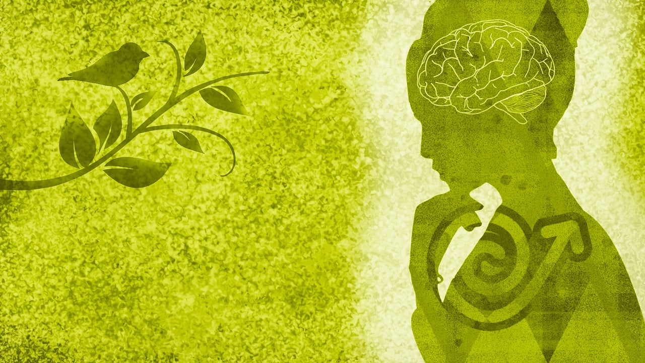 découvrez l'importance de la conservation de l'environnement et les actions essentielles pour protéger notre planète pour les générations futures.