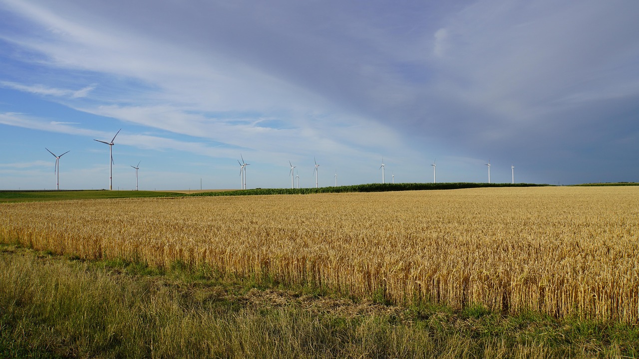 découvrez l'impact de la vague de chaleur en europe : températures extrêmes, conseils de prévention et actualités météorologiques.