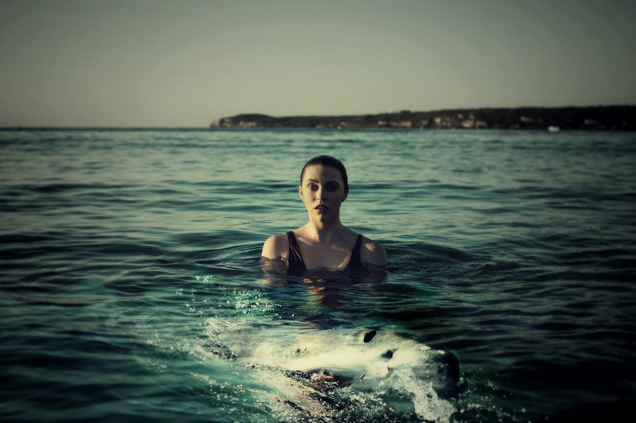 d&eacute;couvrez tout sur le grand requin blanc, un pr&eacute;dateur marin fascinant et redout&eacute;, connu pour sa puissance et son r&ocirc;le crucial dans l'&eacute;cosyst&egrave;me oc&eacute;anique.