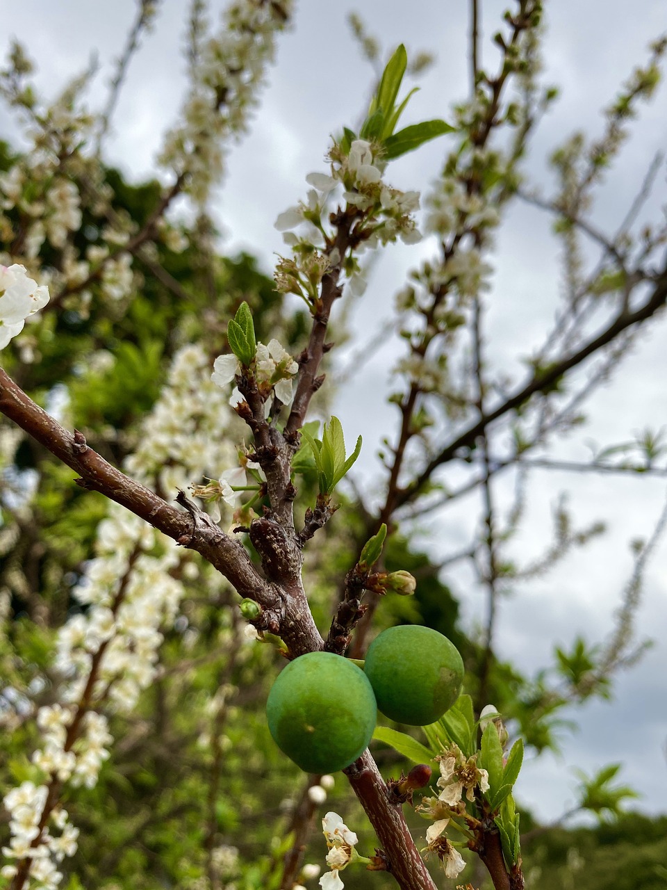 lee zeldin est un homme politique am&eacute;ricain connu pour son engagement au sein du parti r&eacute;publicain et son r&ocirc;le en tant que repr&eacute;sentant &eacute;lu.