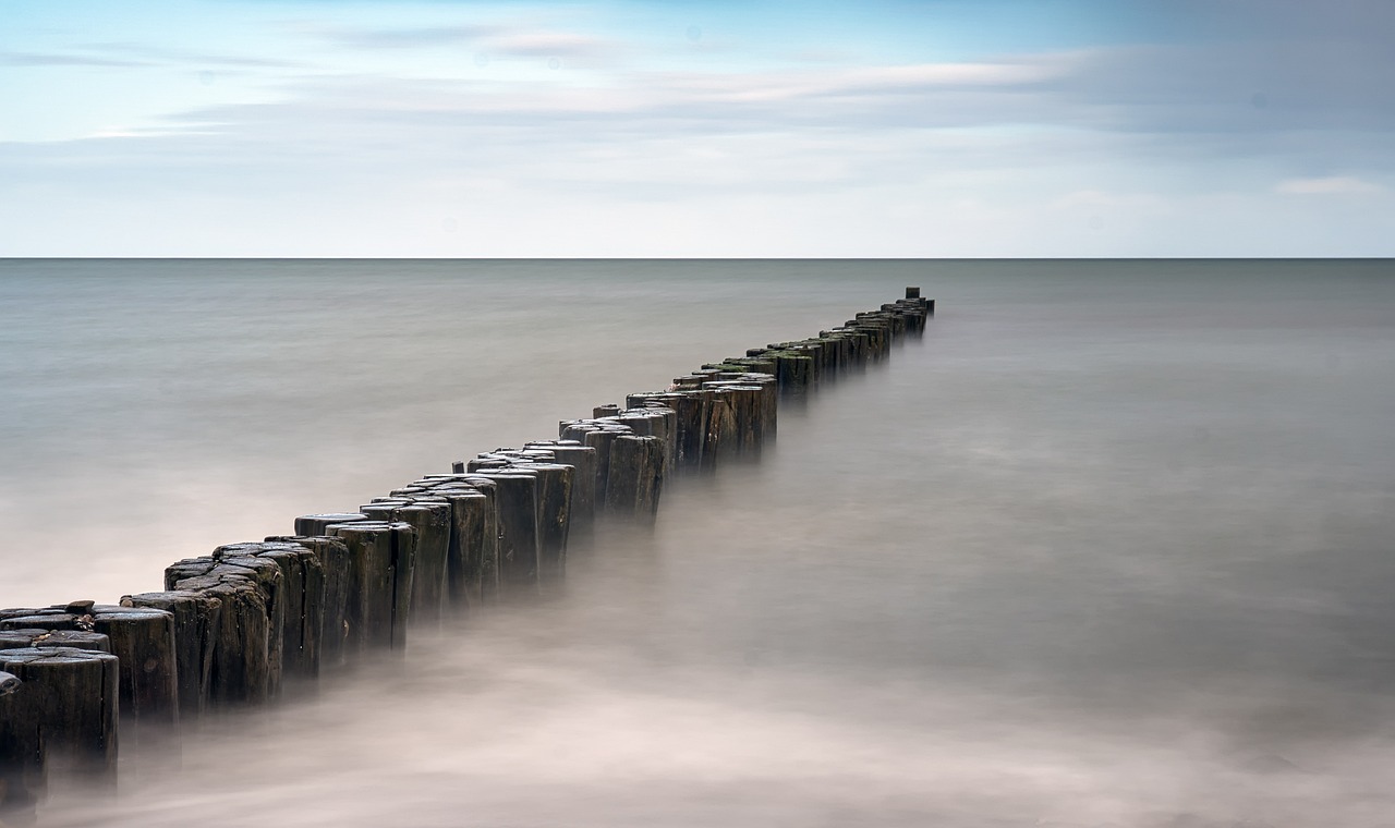 d&eacute;couvrez l'importance de la protection des oc&eacute;ans et comment pr&eacute;server la biodiversit&eacute; marine pour un avenir durable.