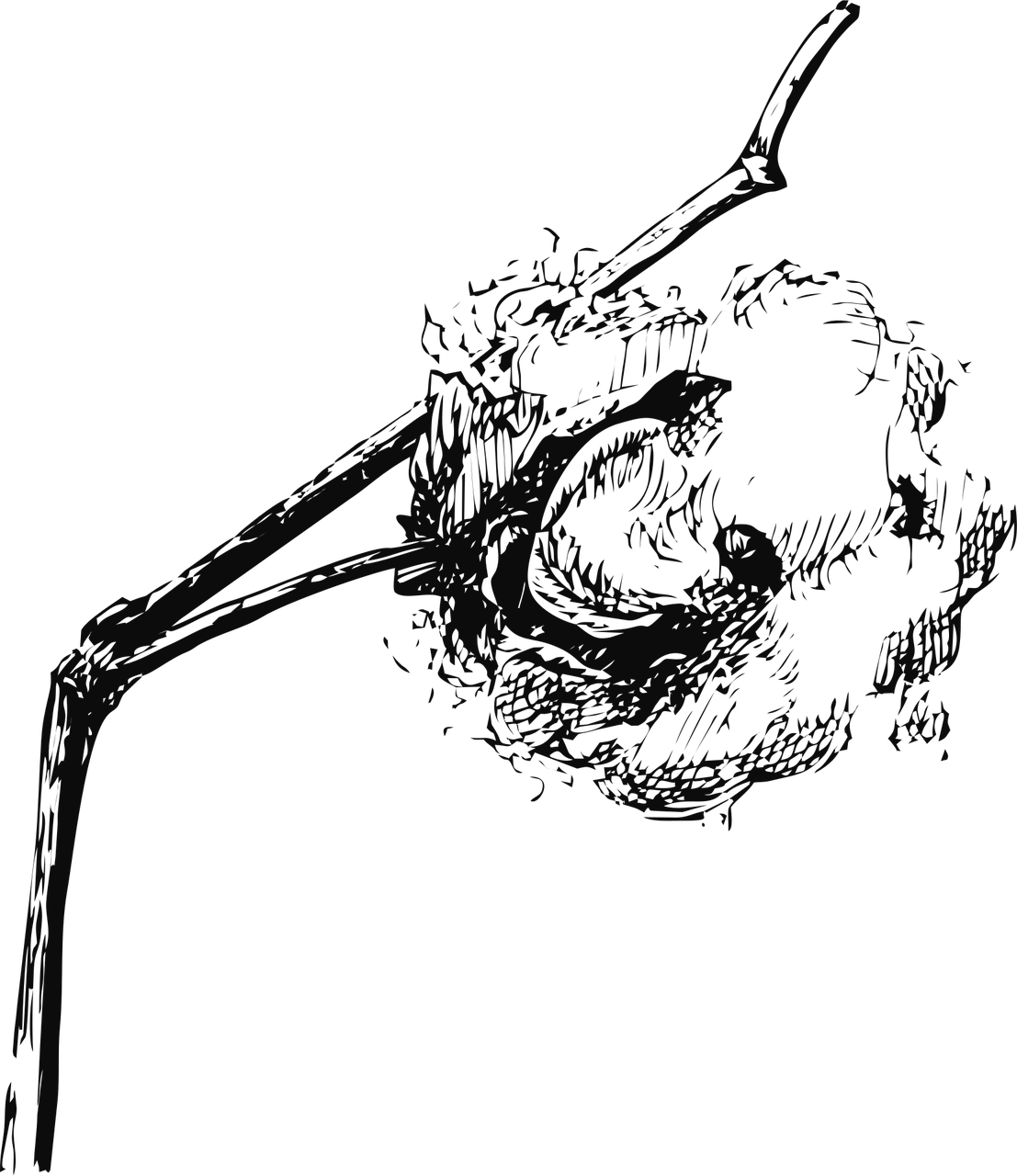 d&eacute;couvrez notre collection en coton biologique, alliant confort naturel et respect de l'environnement.