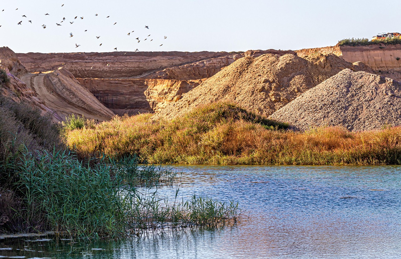 d&eacute;couvrez l'urban renaturation, une approche innovante visant &agrave; r&eacute;introduire la nature en milieu urbain pour am&eacute;liorer la qualit&eacute; de vie, la biodiversit&eacute; et la r&eacute;silience des villes.