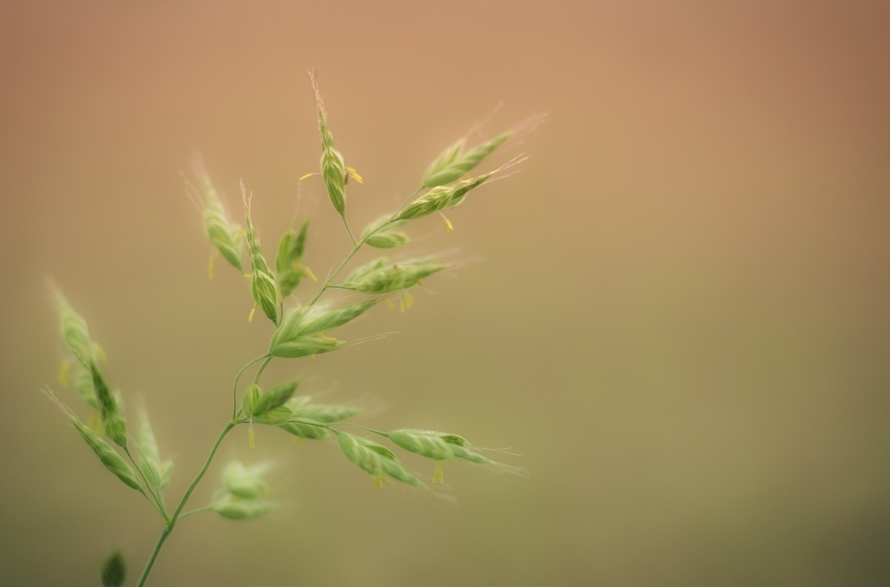d&eacute;couvrez tout ce qu'il faut savoir sur les allergies : sympt&ocirc;mes, causes, traitements et conseils pour mieux vivre avec vos allergies au quotidien.