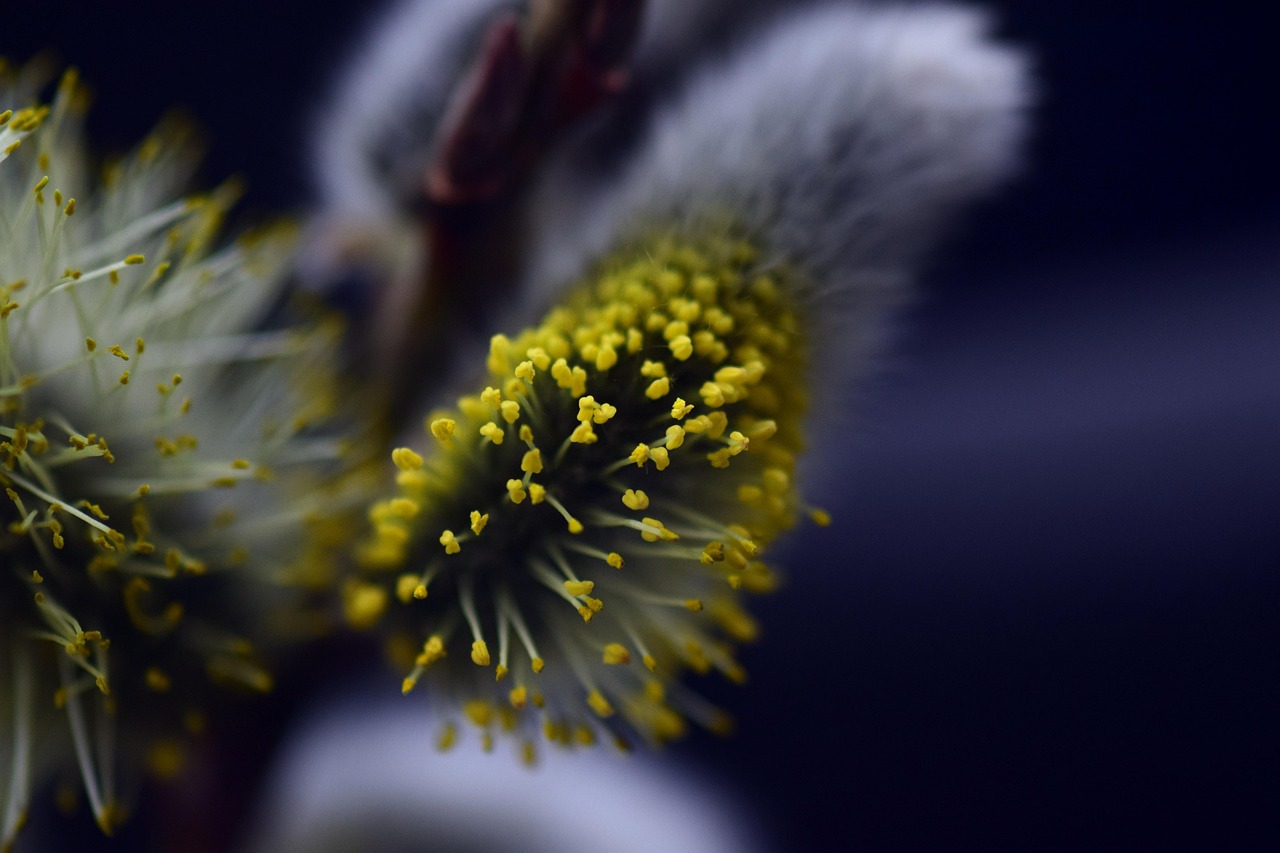 d&eacute;couvrez tout sur les allergies : sympt&ocirc;mes, causes, traitements et conseils pour mieux vivre au quotidien avec vos allergies.