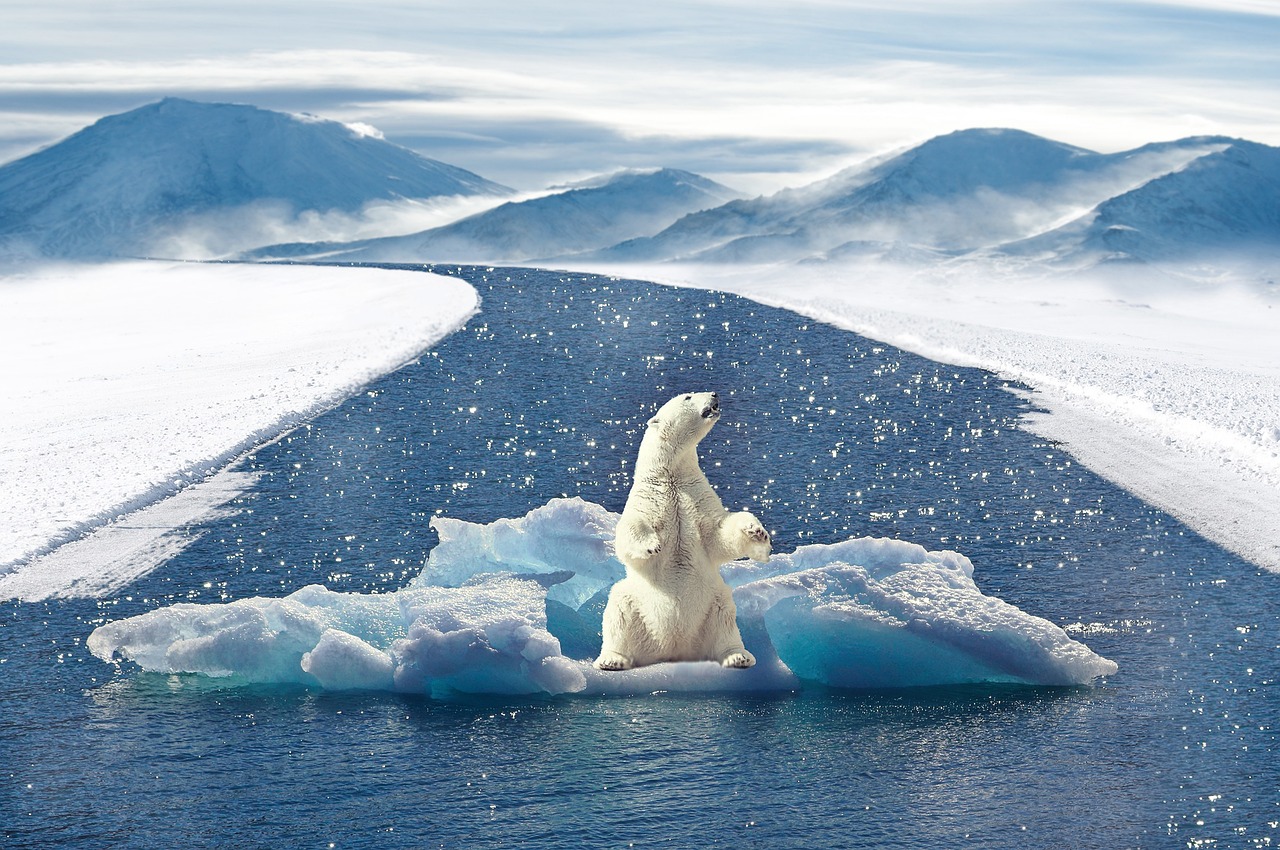 d&eacute;couvrez tout sur le climat : changements, tendances, impacts environnementaux et conseils pour agir face au r&eacute;chauffement climatique.