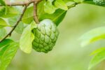 d&eacute;couvrez le concept de cong&eacute; climatique, une initiative innovante permettant aux employ&eacute;s de prendre du temps pour agir en faveur de l&rsquo;environnement et soutenir la lutte contre le changement climatique.