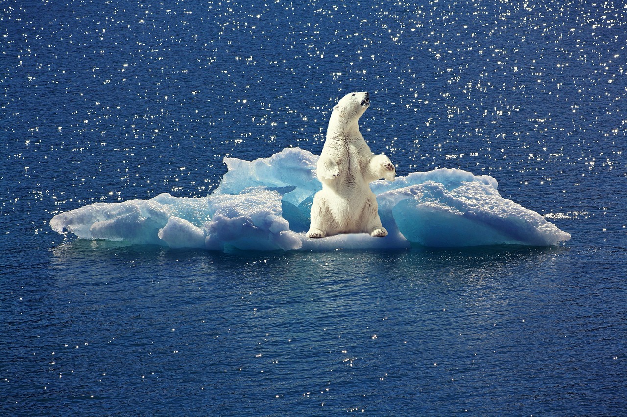 d&eacute;couvrez les projections climatiques futures bas&eacute;es sur des mod&egrave;les scientifiques pour mieux comprendre l'&eacute;volution du climat &agrave; l'&eacute;chelle mondiale.