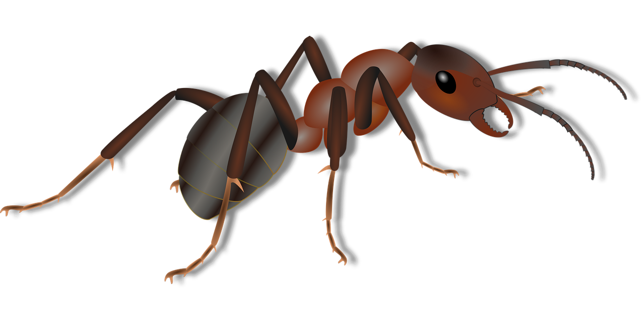 electric ant est une nouvelle technologie innovante inspir&eacute;e par la nature, combinant efficacit&eacute; et intelligence pour r&eacute;volutionner votre quotidien.