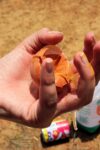 d&eacute;couvrez des conseils pratiques et des solutions innovantes pour r&eacute;duire le gaspillage alimentaire, &eacute;conomiser de l'argent et prot&eacute;ger l'environnement.