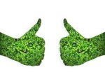 d&eacute;couvrez les green skills, les comp&eacute;tences essentielles pour accompagner la transition &eacute;cologique et favoriser un avenir durable.