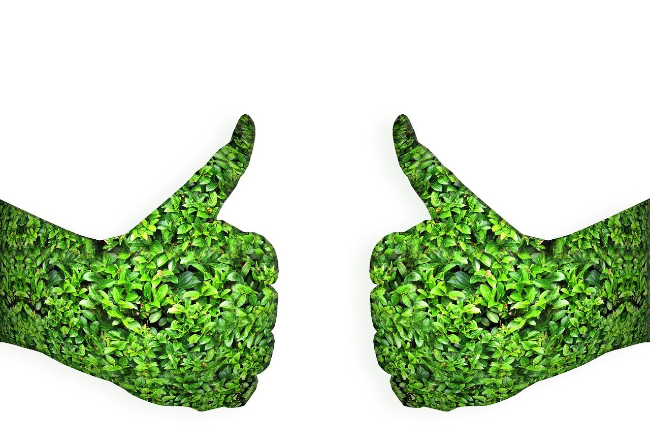 d&eacute;couvrez les green skills, les comp&eacute;tences essentielles pour accompagner la transition &eacute;cologique et favoriser un avenir durable.