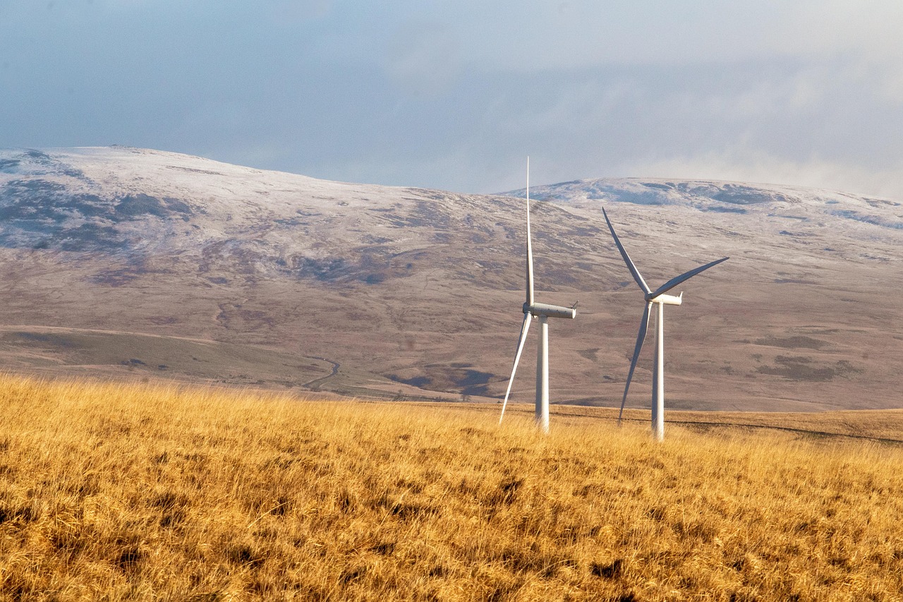 d&eacute;couvrez les solutions d'&eacute;nergie renouvelable pour un avenir durable, incluant l'&eacute;nergie solaire, &eacute;olienne, hydraulique et plus encore, afin de r&eacute;duire l'empreinte carbone et prot&eacute;ger la plan&egrave;te.