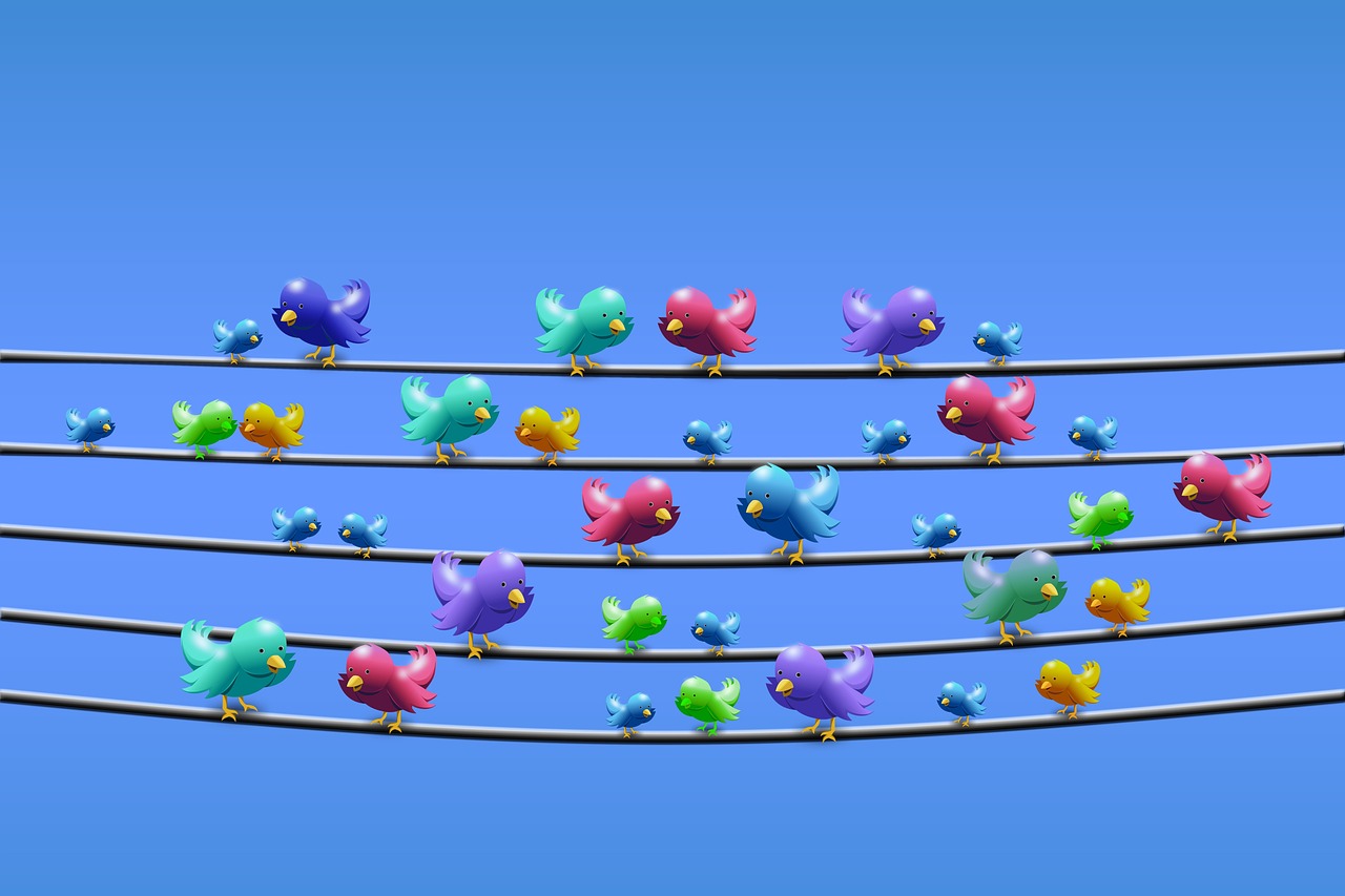 d&eacute;couvrez comment exploiter la puissance des r&eacute;seaux sociaux pour d&eacute;velopper votre influence, engager votre audience et booster votre visibilit&eacute; en ligne.