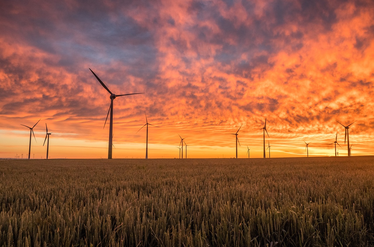 d&eacute;couvrez les avanc&eacute;es et opportunit&eacute;s des &eacute;nergies renouvelables en turquie, un secteur cl&eacute; pour un avenir &eacute;nerg&eacute;tique durable.