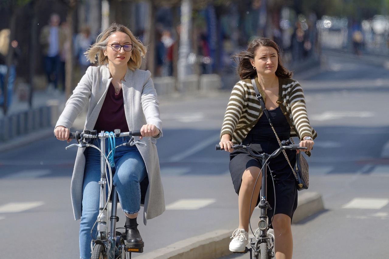 d&eacute;couvrez les strat&eacute;gies et actions cl&eacute;s pour une transition &eacute;cologique urbaine r&eacute;ussie, alliant d&eacute;veloppement durable et innovations environnementales en milieu urbain.