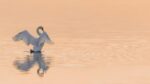 d&eacute;couvrez des m&eacute;thodes efficaces de conservation de l'eau pour pr&eacute;server cette ressource pr&eacute;cieuse, r&eacute;duire votre consommation et prot&eacute;ger l'environnement.